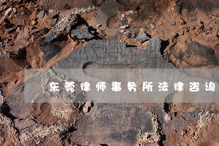 东莞律师事务所法律咨询 东莞律师事务所法律咨询