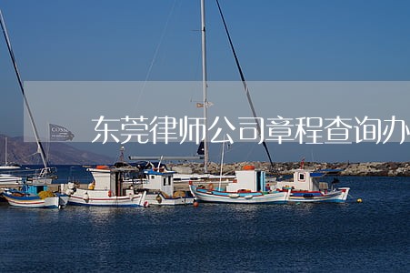 东莞律师公司章程查询办法 东莞律师公司章程查询办法