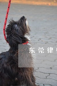 东莞律师法律服务费用标准 东莞律师法律服务费用标准