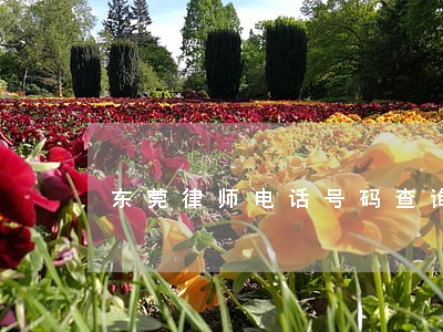 东莞律师电话号码查询 东莞律师电话号码查询