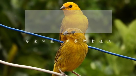 东莞快递公司收押金违法 东莞快递公司收押金违法