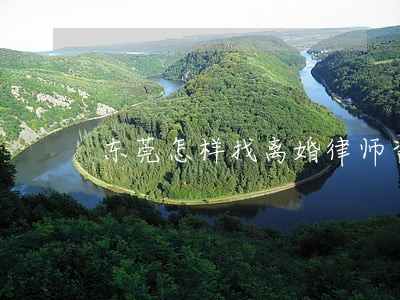东莞怎样找离婚律师咨询 东莞怎样找离婚律师咨询