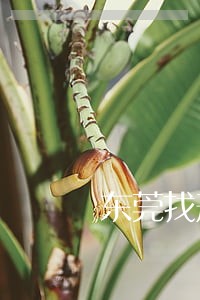 东莞找刑事纠纷律师哪个好