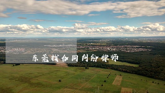 东莞找合同纠纷律师 东莞找合同纠纷律师
