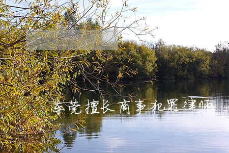 东莞擅长商事犯罪律师 东莞擅长商事犯罪律师