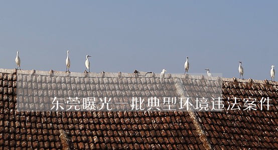 东莞曝光一批典型环境违法案件 东莞曝光一批典型环境违法案件