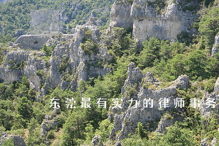 东莞最有实力的律师事务所 东莞最有实力的律师事务所