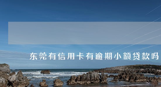 东莞有信用卡有逾期小额贷款吗 东莞有信用卡有逾期小额贷款吗