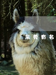 东莞有名的财产纠纷律师单位 东莞有名的财产纠纷律师单位