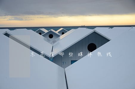 东莞有哪些媒体热线 东莞有哪些媒体热线