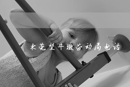 东莞望牛墩劳动局电话 东莞望牛墩劳动局电话