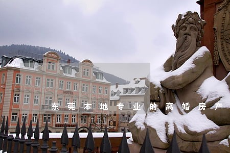 东莞本地专业的离婚房产分割律师 东莞本地专业的离婚房产分割律师