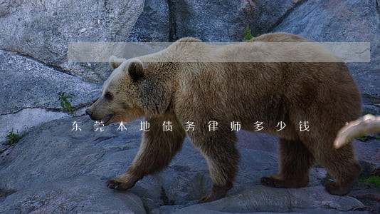 东莞本地债务律师多少钱 东莞本地债务律师多少钱