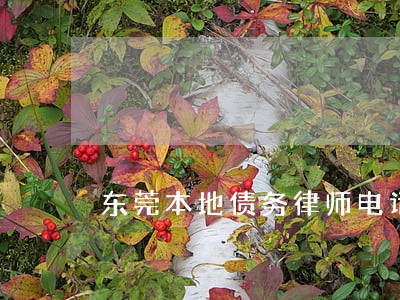 东莞本地债务律师电话多少 东莞本地债务律师电话多少
