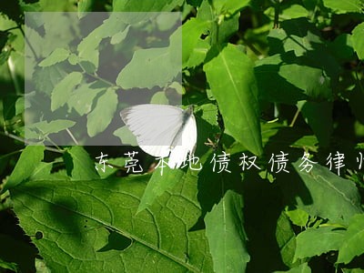 东莞本地债权债务律师团队 东莞本地债权债务律师团队