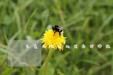 东莞本地债权债务律师微信咨询 东莞本地债权债务律师微信咨询