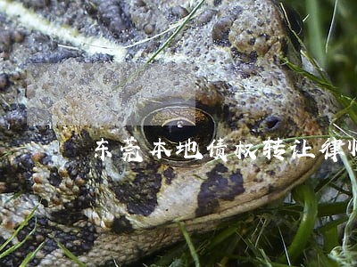 东莞本地债权转让律师电话多少 东莞本地债权转让律师电话多少