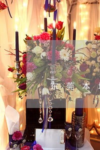 东莞本地办理债务律师排行