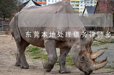 东莞本地处理债务律师多少钱 东莞本地处理债务律师多少钱