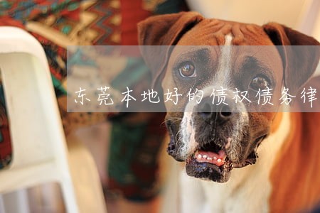 东莞本地好的债权债务律师团队 东莞本地好的债权债务律师团队