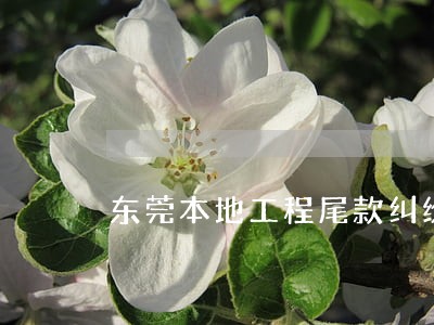 东莞本地工程尾款纠纷律师推荐 东莞本地工程尾款纠纷律师推荐