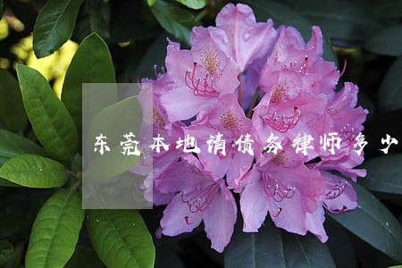 东莞本地请债务律师多少钱 东莞本地请债务律师多少钱