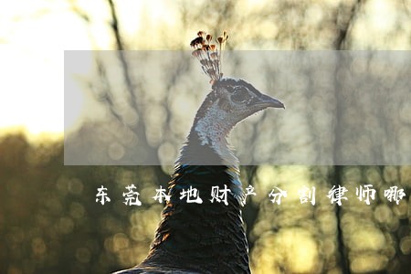 东莞本地财产分割律师哪里找 东莞本地财产分割律师哪里找