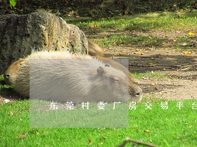 东莞村委厂房交易平台 东莞村委厂房交易平台