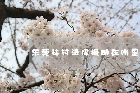 东莞林村法律援助在哪里 东莞林村法律援助在哪里