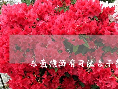东莞横沥有司法亲子鉴定 东莞横沥有司法亲子鉴定