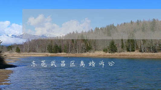 东莞武昌区离婚诉讼 东莞武昌区离婚诉讼