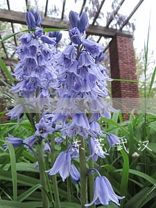 东莞武汉市婚姻律师事务所 东莞武汉市婚姻律师事务所