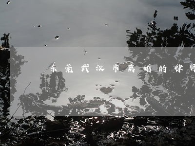 东莞武汉市离婚的律师 东莞武汉市离婚的律师