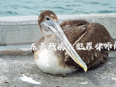 东莞残疾人犯罪律师网站 东莞残疾人犯罪律师网站