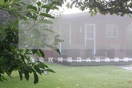东莞民间借贷诉讼请律师 东莞民间借贷诉讼请律师
