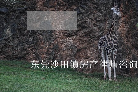 东莞沙田镇房产律师咨询 东莞沙田镇房产律师咨询