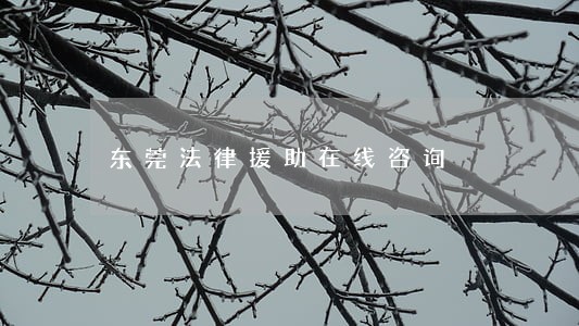 东莞法律援助在线咨询 东莞法律援助在线咨询
