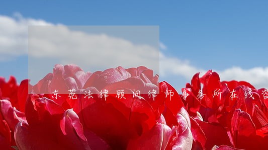 东莞法律顾问律师事务所在线咨询 东莞法律顾问律师事务所在线咨询