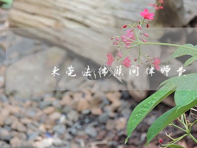 东莞法律顾问律师费 东莞法律顾问律师费