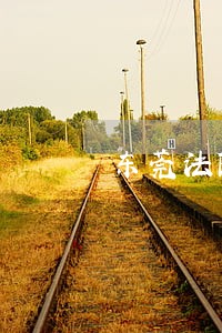 东莞法院拍卖销分