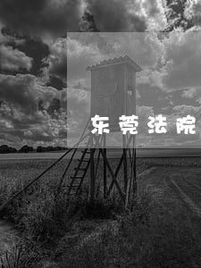 东莞法院收到邮寄立案材料