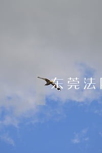 东莞法院江和平简介