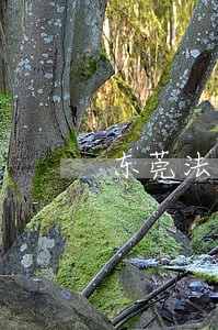东莞法院电话号码
