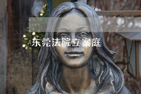 东莞法院立案庭 东莞法院立案庭