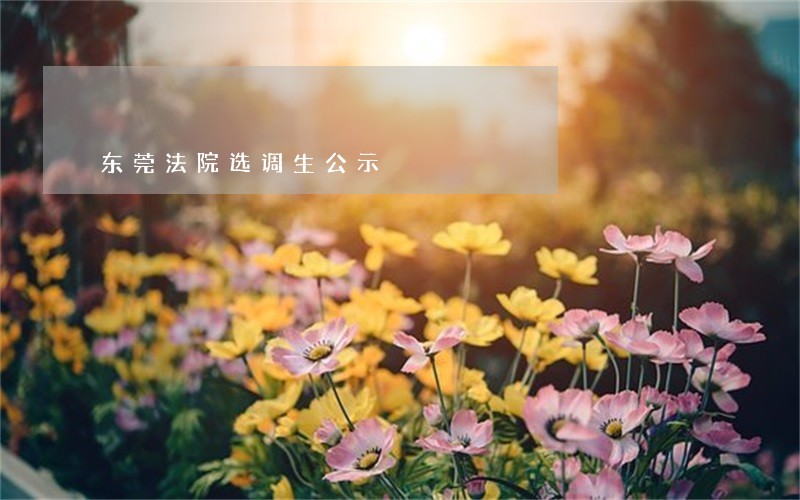 东莞法院选调生公示