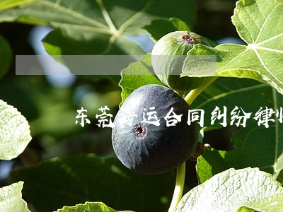 东莞海运合同纠纷律师 东莞海运合同纠纷律师