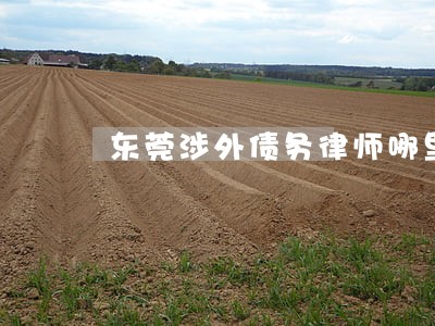 东莞涉外债务律师哪里找诚信营销 东莞涉外债务律师哪里找诚信营销
