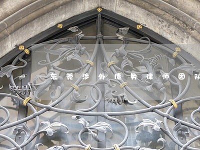 东莞涉外债务律师团队 东莞涉外债务律师团队