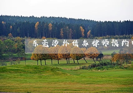 东莞涉外债务律师预约电话 东莞涉外债务律师预约电话