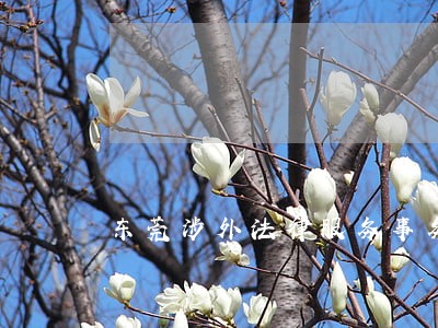 东莞涉外法律服务事务所卓越服务 东莞涉外法律服务事务所卓越服务